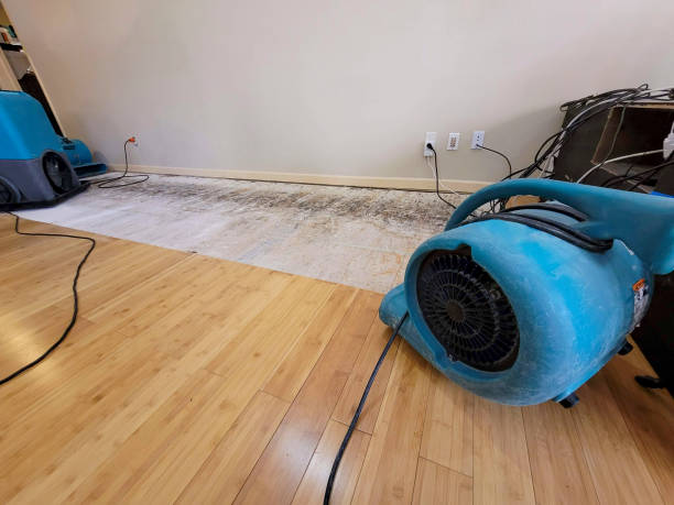 Professional Water Extraction technician working in Oak View, CA
